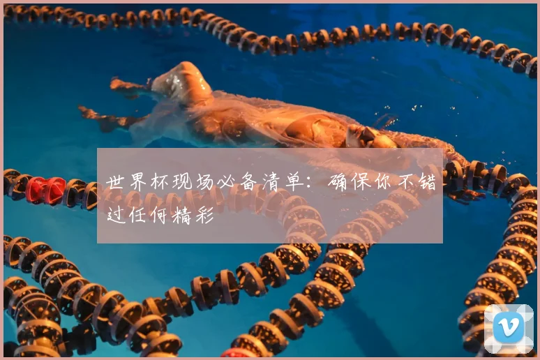 世界杯现场必备清单：确保你不错过任何精彩